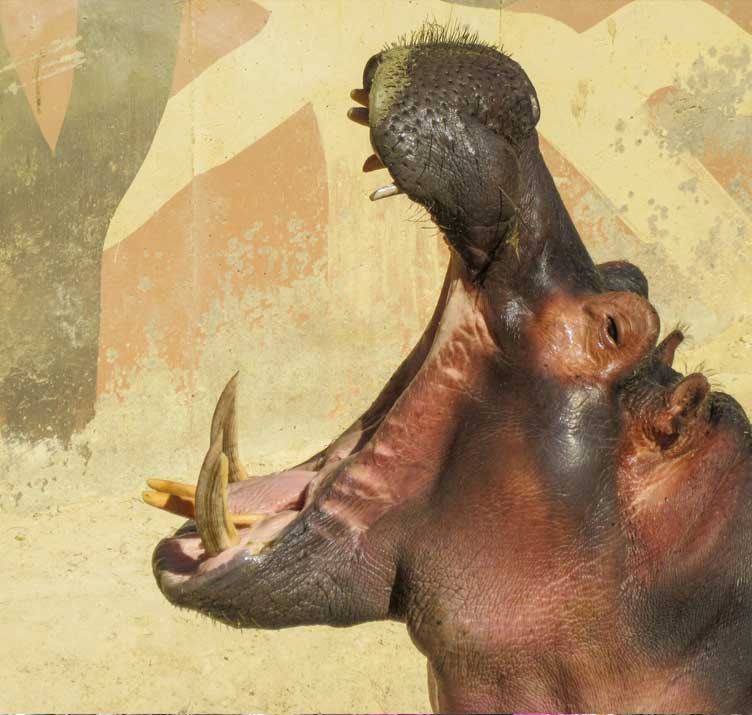 Imagen de portada del listado