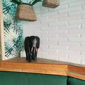 - %title - Marinea 2025